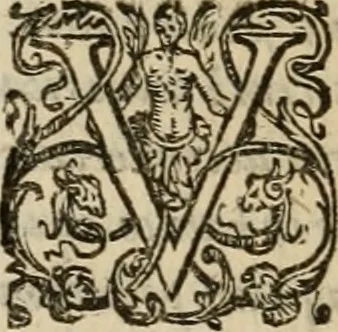 An illustration from Sacrorum elaeochrismaton myrothecium sacroprophanum : in quo ex antiquis Graecis at Latinis scriptoribus quidquid ad nomina, antiquitatem, vsum & abusum oleorum & vnguentorum ex sacris habetur litteris dilucidè explicatur, 1625, leaf 317