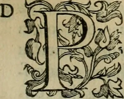 An illustration from Sacrorum elaeochrismaton myrothecium sacroprophanum : in quo ex antiquis Graecis at Latinis scriptoribus quidquid ad nomina, antiquitatem, vsum & abusum oleorum & vnguentorum ex sacris habetur litteris dilucidè explicatur, 1625, leaf 322
