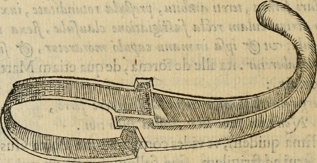 An illustration from Sacrorum elaeochrismaton myrothecium sacroprophanum : in quo ex antiquis Graecis at Latinis scriptoribus quidquid ad nomina, antiquitatem, vsum & abusum oleorum & vnguentorum ex sacris habetur litteris dilucidè explicatur, 1625, leaf 357