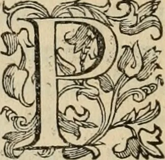 An illustration from Sacrorum elaeochrismaton myrothecium sacroprophanum : in quo ex antiquis Graecis at Latinis scriptoribus quidquid ad nomina, antiquitatem, vsum & abusum oleorum & vnguentorum ex sacris habetur litteris dilucidè explicatur, 1625, leaf 439