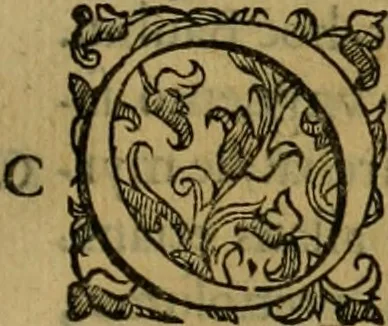 An illustration from Sacrorum elaeochrismaton myrothecium sacroprophanum : in quo ex antiquis Graecis at Latinis scriptoribus quidquid ad nomina, antiquitatem, vsum & abusum oleorum & vnguentorum ex sacris habetur litteris dilucidè explicatur, 1625, leaf 526