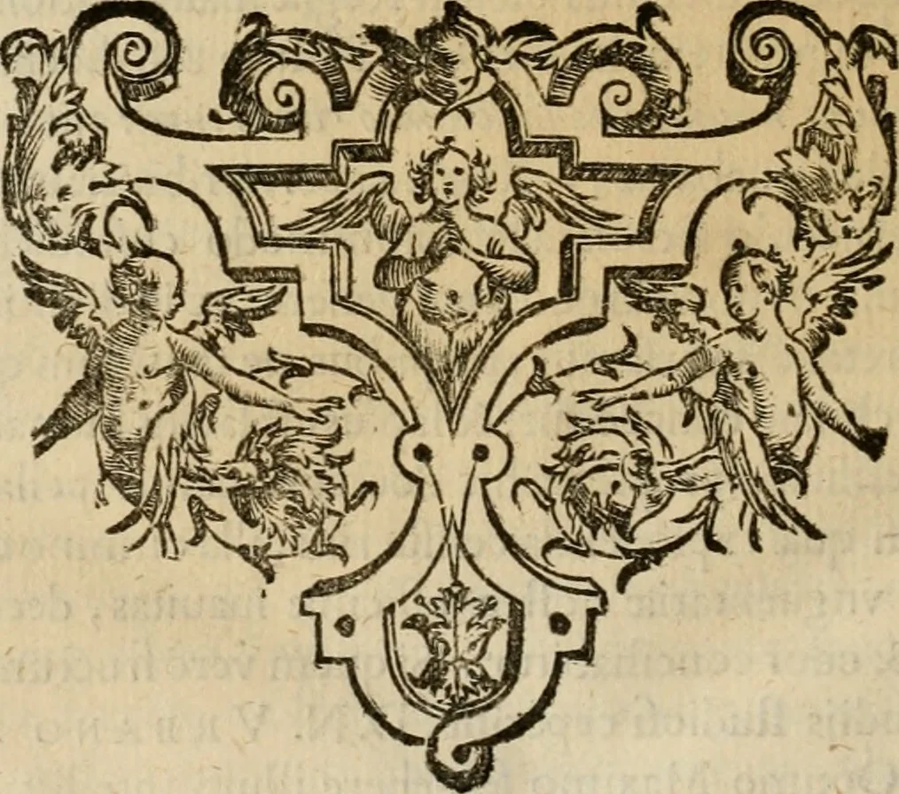 An illustration from Sacrorum elaeochrismaton myrothecium sacroprophanum : in quo ex antiquis Graecis at Latinis scriptoribus quidquid ad nomina, antiquitatem, vsum & abusum oleorum & vnguentorum ex sacris habetur litteris dilucidè explicatur, 1625, leaf 543