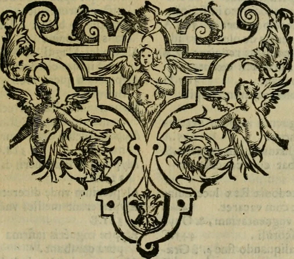 An illustration from Sacrorum elaeochrismaton myrothecium sacroprophanum : in quo ex antiquis Graecis at Latinis scriptoribus quidquid ad nomina, antiquitatem, vsum & abusum oleorum & vnguentorum ex sacris habetur litteris dilucidè explicatur, 1625, leaf 560