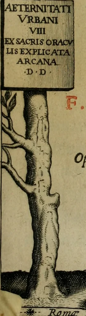 An illustration from Sacrorum elaeochrismaton myrothecium sacroprophanum : in quo ex antiquis Graecis at Latinis scriptoribus quidquid ad nomina, antiquitatem, vsum & abusum oleorum & vnguentorum ex sacris habetur litteris dilucidè explicatur, 1625, leaf 6