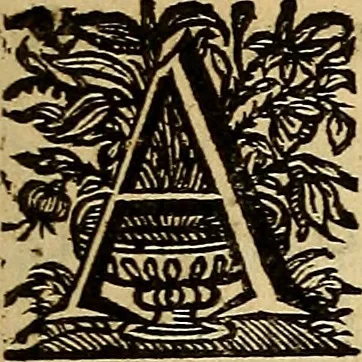 An illustration from Sacrum Oratorium piarum imaginum Immaculatae Mariae et animae creatae ac baptismo, poenitentia, et eucharistia innouatae : ars noua bene viuendi et moriendi, sacris piarum imaginum emblematis figurata & illustrata, 1634, leaf 122