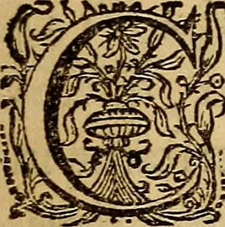 An illustration from Sacrum Oratorium piarum imaginum Immaculatae Mariae et animae creatae ac baptismo, poenitentia, et eucharistia innouatae : ars noua bene viuendi et moriendi, sacris piarum imaginum emblematis figurata & illustrata, 1634, leaf 132