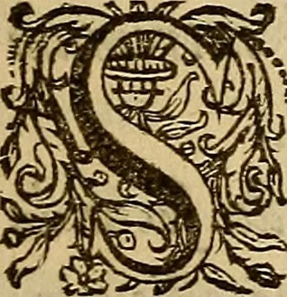 An illustration from Sacrum Oratorium piarum imaginum Immaculatae Mariae et animae creatae ac baptismo, poenitentia, et eucharistia innouatae : ars noua bene viuendi et moriendi, sacris piarum imaginum emblematis figurata & illustrata, 1634, leaf 14