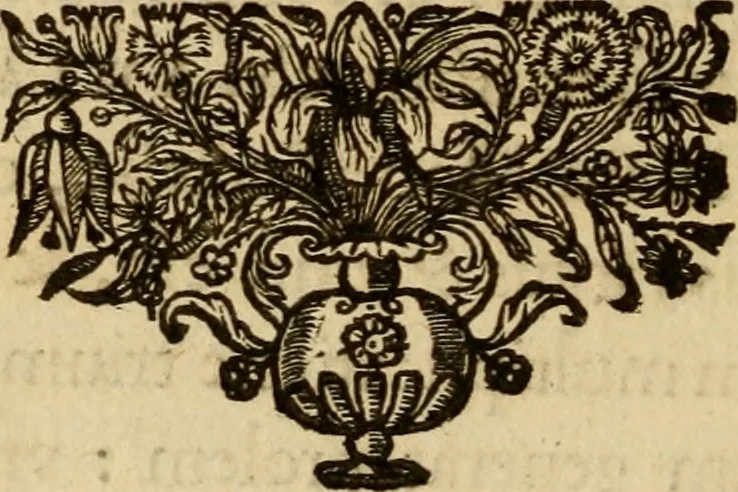 An illustration from Sacrum Oratorium piarum imaginum Immaculatae Mariae et animae creatae ac baptismo, poenitentia, et eucharistia innouatae : ars noua bene viuendi et moriendi, sacris piarum imaginum emblematis figurata & illustrata, 1634, leaf 159