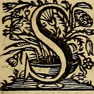 An illustration from Sacrum Oratorium piarum imaginum Immaculatae Mariae et animae creatae ac baptismo, poenitentia, et eucharistia innouatae : ars noua bene viuendi et moriendi, sacris piarum imaginum emblematis figurata & illustrata, 1634, leaf 162