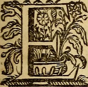An illustration from Sacrum Oratorium piarum imaginum Immaculatae Mariae et animae creatae ac baptismo, poenitentia, et eucharistia innouatae : ars noua bene viuendi et moriendi, sacris piarum imaginum emblematis figurata & illustrata, 1634, leaf 174