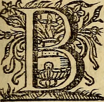 An illustration from Sacrum Oratorium piarum imaginum Immaculatae Mariae et animae creatae ac baptismo, poenitentia, et eucharistia innouatae : ars noua bene viuendi et moriendi, sacris piarum imaginum emblematis figurata & illustrata, 1634, leaf 238