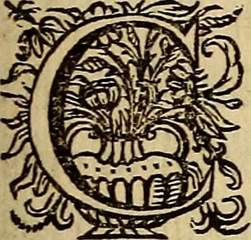 An illustration from Sacrum Oratorium piarum imaginum Immaculatae Mariae et animae creatae ac baptismo, poenitentia, et eucharistia innouatae : ars noua bene viuendi et moriendi, sacris piarum imaginum emblematis figurata & illustrata, 1634, leaf 252