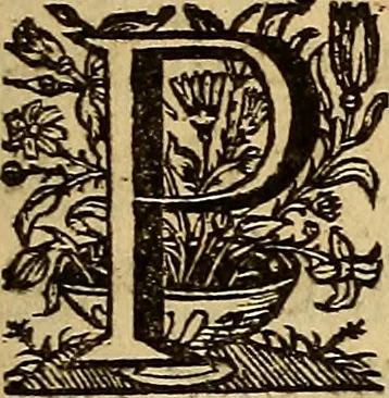 An illustration from Sacrum Oratorium piarum imaginum Immaculatae Mariae et animae creatae ac baptismo, poenitentia, et eucharistia innouatae : ars noua bene viuendi et moriendi, sacris piarum imaginum emblematis figurata & illustrata, 1634, leaf 290