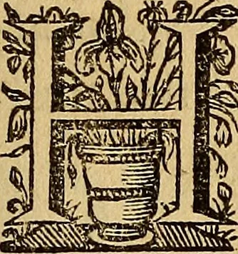 An illustration from Sacrum Oratorium piarum imaginum Immaculatae Mariae et animae creatae ac baptismo, poenitentia, et eucharistia innouatae : ars noua bene viuendi et moriendi, sacris piarum imaginum emblematis figurata & illustrata, 1634, leaf 338