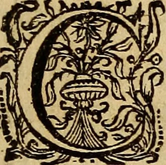 An illustration from Sacrum Oratorium piarum imaginum Immaculatae Mariae et animae creatae ac baptismo, poenitentia, et eucharistia innouatae : ars noua bene viuendi et moriendi, sacris piarum imaginum emblematis figurata & illustrata, 1634, leaf 36