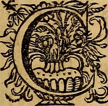 An illustration from Sacrum Oratorium piarum imaginum Immaculatae Mariae et animae creatae ac baptismo, poenitentia, et eucharistia innouatae : ars noua bene viuendi et moriendi, sacris piarum imaginum emblematis figurata & illustrata, 1634, leaf 364