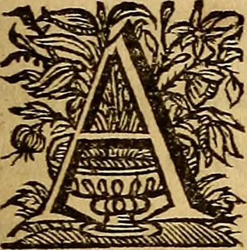 An illustration from Sacrum Oratorium piarum imaginum Immaculatae Mariae et animae creatae ac baptismo, poenitentia, et eucharistia innouatae : ars noua bene viuendi et moriendi, sacris piarum imaginum emblematis figurata & illustrata, 1634, leaf 392