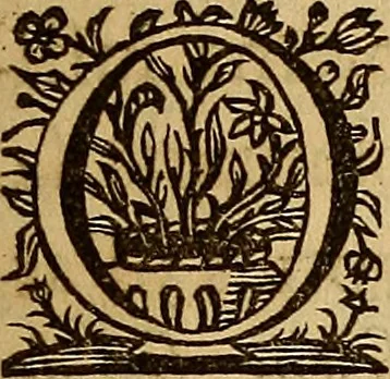 An illustration from Sacrum Oratorium piarum imaginum Immaculatae Mariae et animae creatae ac baptismo, poenitentia, et eucharistia innouatae : ars noua bene viuendi et moriendi, sacris piarum imaginum emblematis figurata & illustrata, 1634, leaf 418