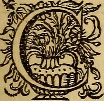 An illustration from Sacrum Oratorium piarum imaginum Immaculatae Mariae et animae creatae ac baptismo, poenitentia, et eucharistia innouatae : ars noua bene viuendi et moriendi, sacris piarum imaginum emblematis figurata & illustrata, 1634, leaf 434