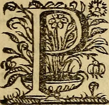 An illustration from Sacrum Oratorium piarum imaginum Immaculatae Mariae et animae creatae ac baptismo, poenitentia, et eucharistia innouatae : ars noua bene viuendi et moriendi, sacris piarum imaginum emblematis figurata & illustrata, 1634, leaf 44