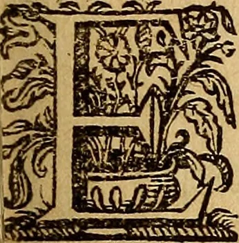 An illustration from Sacrum Oratorium piarum imaginum Immaculatae Mariae et animae creatae ac baptismo, poenitentia, et eucharistia innouatae : ars noua bene viuendi et moriendi, sacris piarum imaginum emblematis figurata & illustrata, 1634, leaf 462