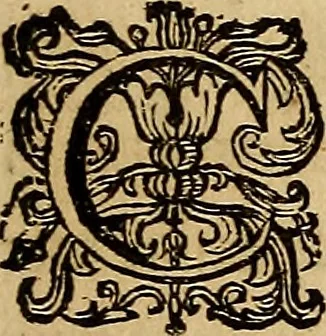 An illustration from Sacrum Oratorium piarum imaginum Immaculatae Mariae et animae creatae ac baptismo, poenitentia, et eucharistia innouatae : ars noua bene viuendi et moriendi, sacris piarum imaginum emblematis figurata & illustrata, 1634, leaf 52