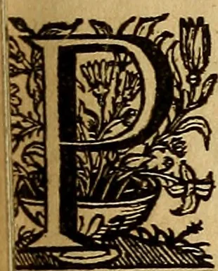 An illustration from Sacrum Oratorium piarum imaginum Immaculatae Mariae et animae creatae ac baptismo, poenitentia, et eucharistia innouatae : ars noua bene viuendi et moriendi, sacris piarum imaginum emblematis figurata & illustrata, 1634, leaf 528
