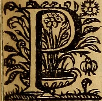 An illustration from Sacrum Oratorium piarum imaginum Immaculatae Mariae et animae creatae ac baptismo, poenitentia, et eucharistia innouatae : ars noua bene viuendi et moriendi, sacris piarum imaginum emblematis figurata & illustrata, 1634, leaf 534