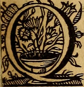 An illustration from Sacrum Oratorium piarum imaginum Immaculatae Mariae et animae creatae ac baptismo, poenitentia, et eucharistia innouatae : ars noua bene viuendi et moriendi, sacris piarum imaginum emblematis figurata & illustrata, 1634, leaf 552
