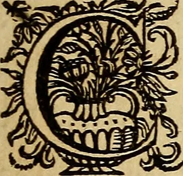 An illustration from Sacrum Oratorium piarum imaginum Immaculatae Mariae et animae creatae ac baptismo, poenitentia, et eucharistia innouatae : ars noua bene viuendi et moriendi, sacris piarum imaginum emblematis figurata & illustrata, 1634, leaf 70