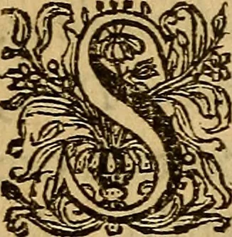 An illustration from Sacrum Oratorium piarum imaginum Immaculatae Mariae et animae creatae ac baptismo, poenitentia, et eucharistia innouatae : ars noua bene viuendi et moriendi, sacris piarum imaginum emblematis figurata & illustrata, 1634, leaf 776