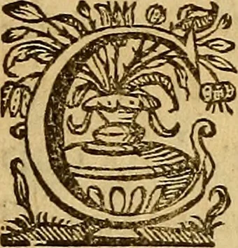 An illustration from Sacrum Oratorium piarum imaginum Immaculatae Mariae et animae creatae ac baptismo, poenitentia, et eucharistia innouatae : ars noua bene viuendi et moriendi, sacris piarum imaginum emblematis figurata & illustrata, 1634, leaf 782