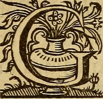 An illustration from Sacrum Oratorium piarum imaginum Immaculatae Mariae et animae creatae ac baptismo, poenitentia, et eucharistia innouatae : ars noua bene viuendi et moriendi, sacris piarum imaginum emblematis figurata & illustrata, 1634, leaf 786