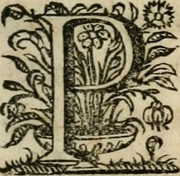An illustration from Sacrvm oratorivm piarvm imaginvm immacvlatae Mariae et animae creatae : ac baptismo, poenitentia, et evcharistia innovatae : ars nova bene vivendi et moriende, sacris piarum imaginum emblematis figurata & illustrata, 1634, leaf 114
