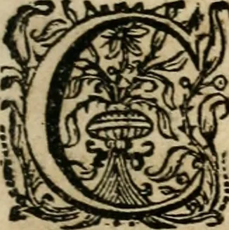An illustration from Sacrvm oratorivm piarvm imaginvm immacvlatae Mariae et animae creatae : ac baptismo, poenitentia, et evcharistia innovatae : ars nova bene vivendi et moriende, sacris piarum imaginum emblematis figurata & illustrata, 1634, leaf 134