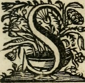 An illustration from Sacrvm oratorivm piarvm imaginvm immacvlatae Mariae et animae creatae : ac baptismo, poenitentia, et evcharistia innovatae : ars nova bene vivendi et moriende, sacris piarum imaginum emblematis figurata & illustrata, 1634, leaf 164