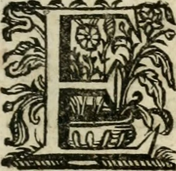 An illustration from Sacrvm oratorivm piarvm imaginvm immacvlatae Mariae et animae creatae : ac baptismo, poenitentia, et evcharistia innovatae : ars nova bene vivendi et moriende, sacris piarum imaginum emblematis figurata & illustrata, 1634, leaf 176