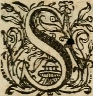 An illustration from Sacrvm oratorivm piarvm imaginvm immacvlatae Mariae et animae creatae : ac baptismo, poenitentia, et evcharistia innovatae : ars nova bene vivendi et moriende, sacris piarum imaginum emblematis figurata & illustrata, 1634, leaf 20