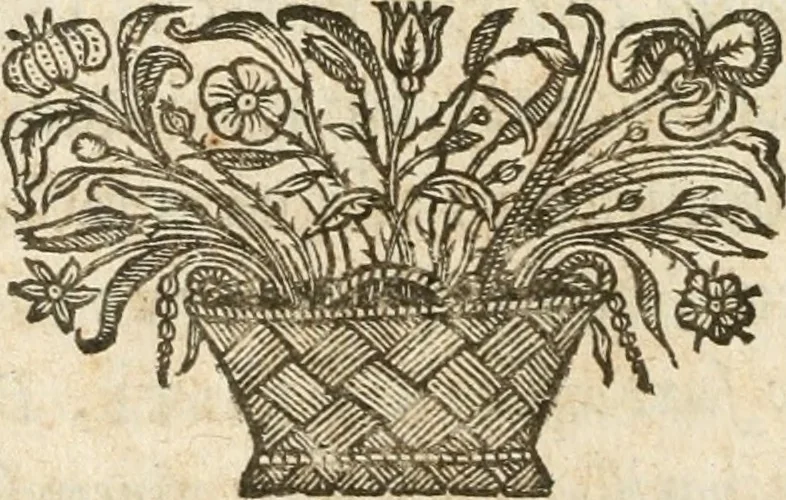 An illustration from Sacrvm oratorivm piarvm imaginvm immacvlatae Mariae et animae creatae : ac baptismo, poenitentia, et evcharistia innovatae : ars nova bene vivendi et moriende, sacris piarum imaginum emblematis figurata & illustrata, 1634, leaf 23