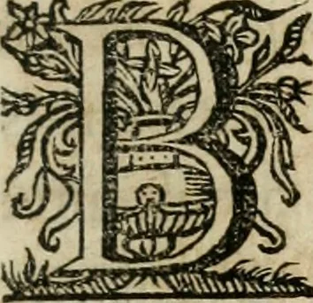 An illustration from Sacrvm oratorivm piarvm imaginvm immacvlatae Mariae et animae creatae : ac baptismo, poenitentia, et evcharistia innovatae : ars nova bene vivendi et moriende, sacris piarum imaginum emblematis figurata & illustrata, 1634, leaf 240