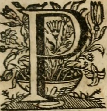An illustration from Sacrvm oratorivm piarvm imaginvm immacvlatae Mariae et animae creatae : ac baptismo, poenitentia, et evcharistia innovatae : ars nova bene vivendi et moriende, sacris piarum imaginum emblematis figurata & illustrata, 1634, leaf 292