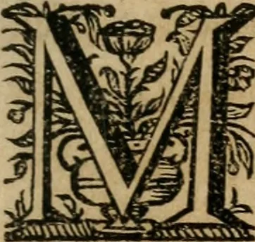 An illustration from Sacrvm oratorivm piarvm imaginvm immacvlatae Mariae et animae creatae : ac baptismo, poenitentia, et evcharistia innovatae : ars nova bene vivendi et moriende, sacris piarum imaginum emblematis figurata & illustrata, 1634, leaf 316