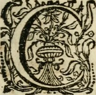 An illustration from Sacrvm oratorivm piarvm imaginvm immacvlatae Mariae et animae creatae : ac baptismo, poenitentia, et evcharistia innovatae : ars nova bene vivendi et moriende, sacris piarum imaginum emblematis figurata & illustrata, 1634, leaf 38