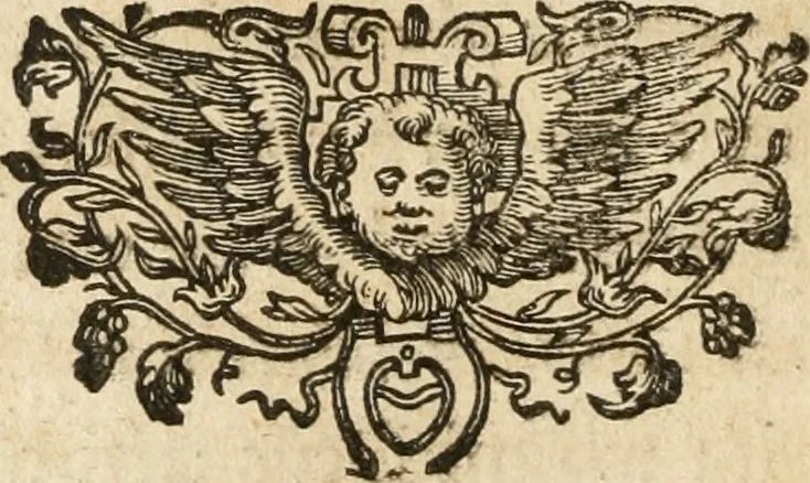 An illustration from Sacrvm oratorivm piarvm imaginvm immacvlatae Mariae et animae creatae : ac baptismo, poenitentia, et evcharistia innovatae : ars nova bene vivendi et moriende, sacris piarum imaginum emblematis figurata & illustrata, 1634, leaf 391