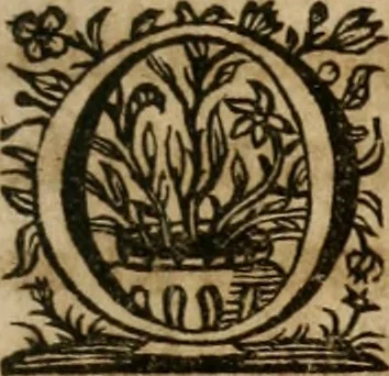 An illustration from Sacrvm oratorivm piarvm imaginvm immacvlatae Mariae et animae creatae : ac baptismo, poenitentia, et evcharistia innovatae : ars nova bene vivendi et moriende, sacris piarum imaginum emblematis figurata & illustrata, 1634, leaf 420