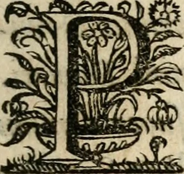 An illustration from Sacrvm oratorivm piarvm imaginvm immacvlatae Mariae et animae creatae : ac baptismo, poenitentia, et evcharistia innovatae : ars nova bene vivendi et moriende, sacris piarum imaginum emblematis figurata & illustrata, 1634, leaf 46