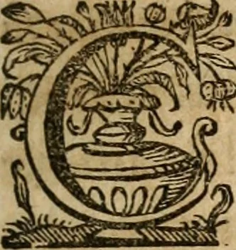 An illustration from Sacrvm oratorivm piarvm imaginvm immacvlatae Mariae et animae creatae : ac baptismo, poenitentia, et evcharistia innovatae : ars nova bene vivendi et moriende, sacris piarum imaginum emblematis figurata & illustrata, 1634, leaf 484