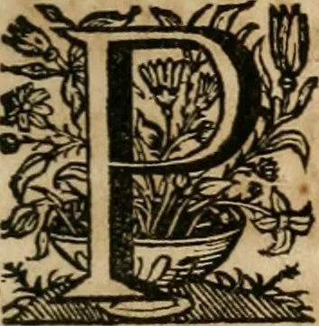 An illustration from Sacrvm oratorivm piarvm imaginvm immacvlatae Mariae et animae creatae : ac baptismo, poenitentia, et evcharistia innovatae : ars nova bene vivendi et moriende, sacris piarum imaginum emblematis figurata & illustrata, 1634, leaf 530