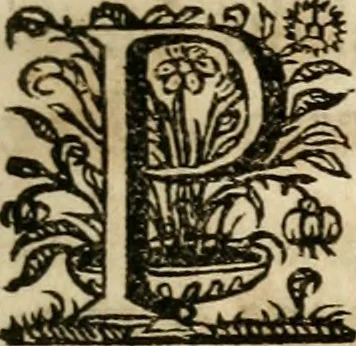 An illustration from Sacrvm oratorivm piarvm imaginvm immacvlatae Mariae et animae creatae : ac baptismo, poenitentia, et evcharistia innovatae : ars nova bene vivendi et moriende, sacris piarum imaginum emblematis figurata & illustrata, 1634, leaf 536