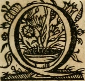An illustration from Sacrvm oratorivm piarvm imaginvm immacvlatae Mariae et animae creatae : ac baptismo, poenitentia, et evcharistia innovatae : ars nova bene vivendi et moriende, sacris piarum imaginum emblematis figurata & illustrata, 1634, leaf 554